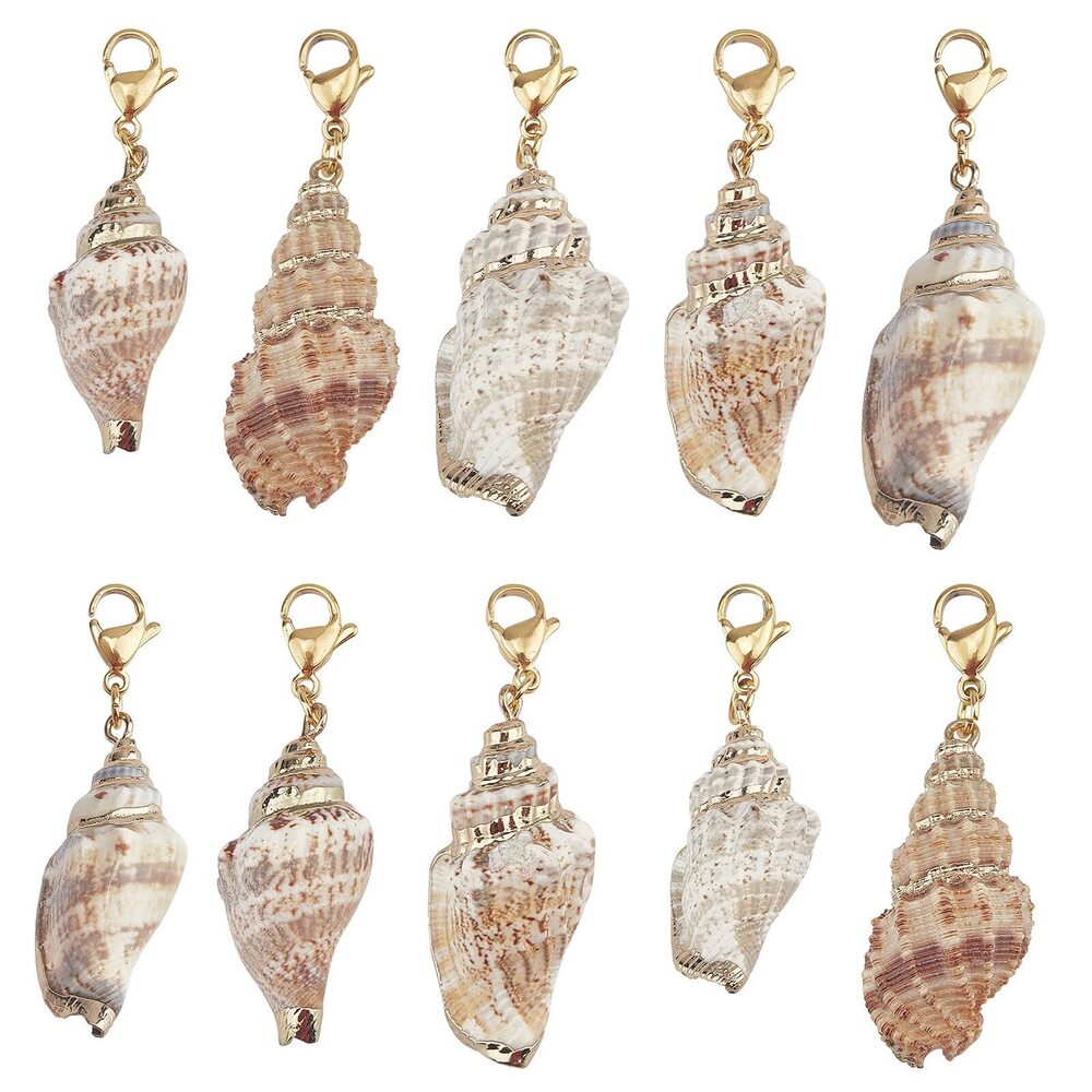 5940 10Pcs Seashell Charms Oval Ocean Beach Spiral Natural Cowrie Conch